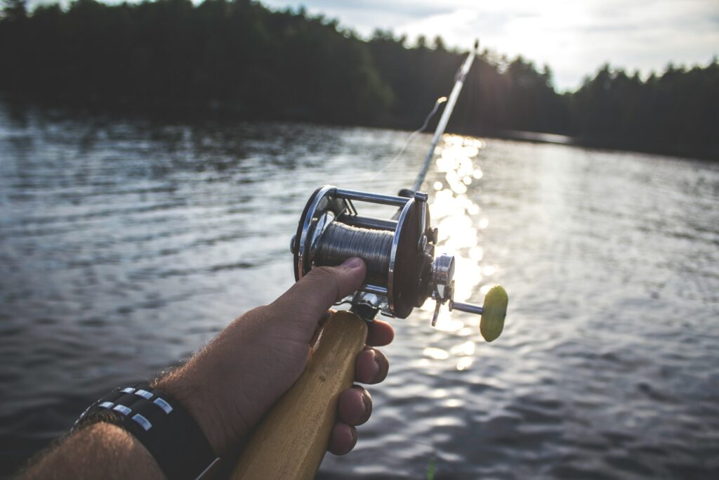 what do fish look like on a fish finder