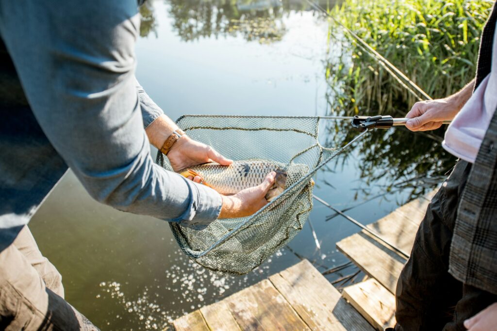 what do fish look like on a fish finder