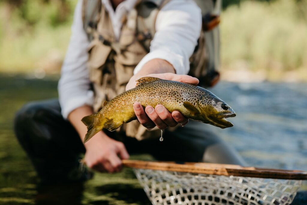 how to read a fish finder