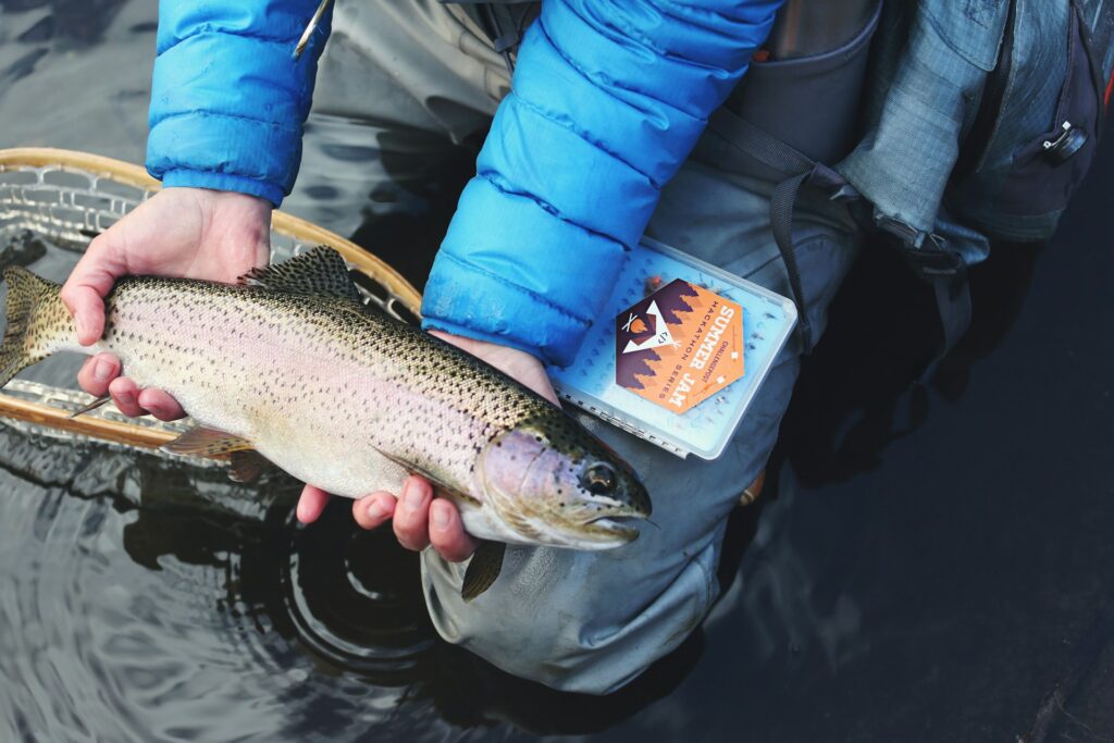 how to read a fish finder