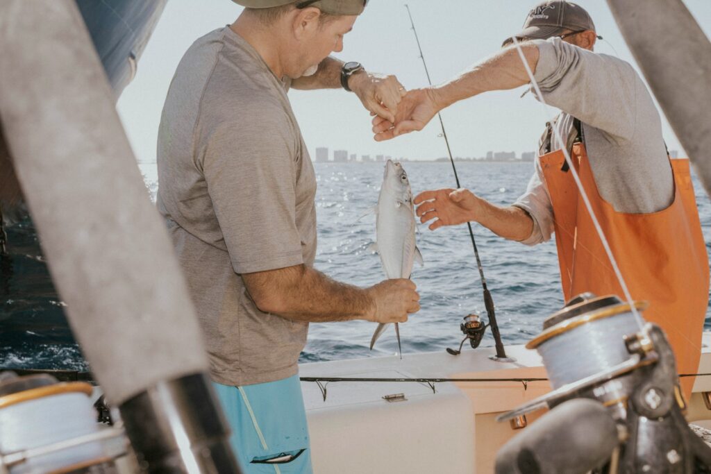 what do fish look like on a fish finder